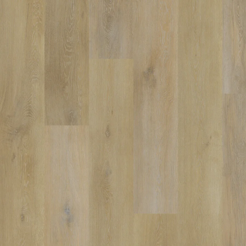 Aspecta Excellence IC55 Prespa XL Plank 8476501X Betrouwbaar